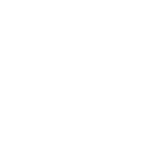 Crowd - group, people